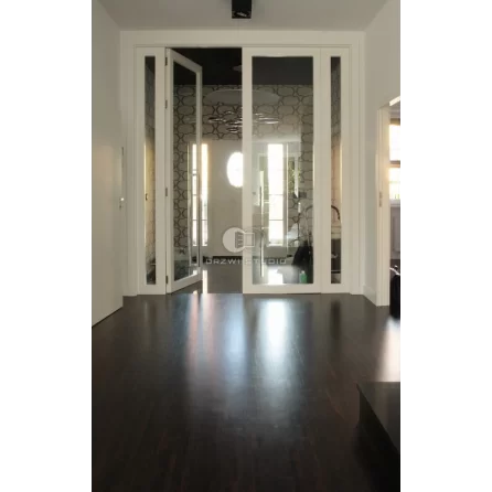 Drzwi Addera z naświetlami bocznymi