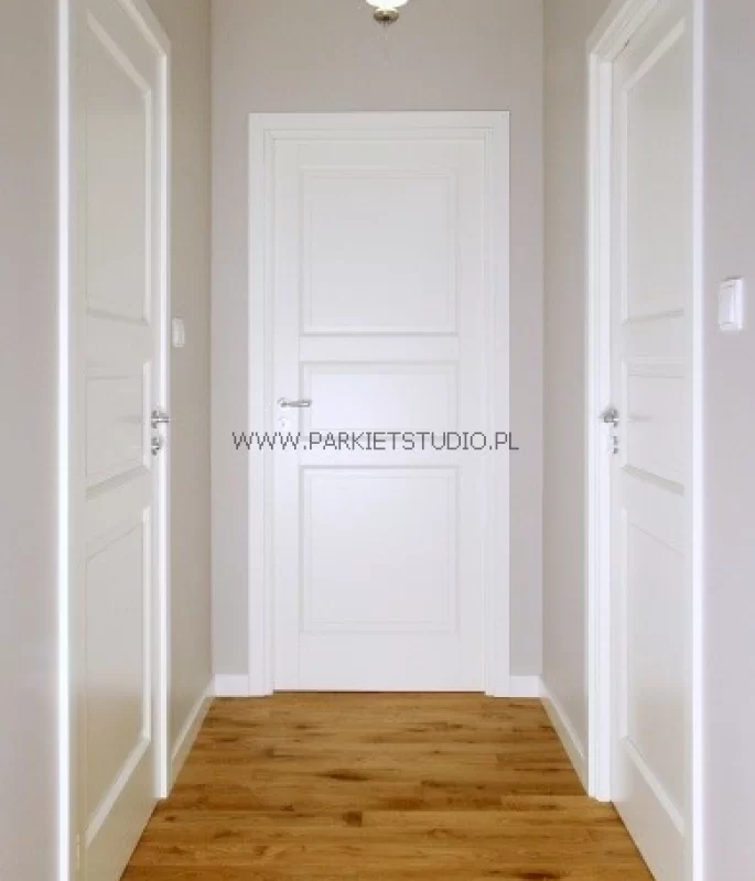 Drzwi Craft 03 Swedoor