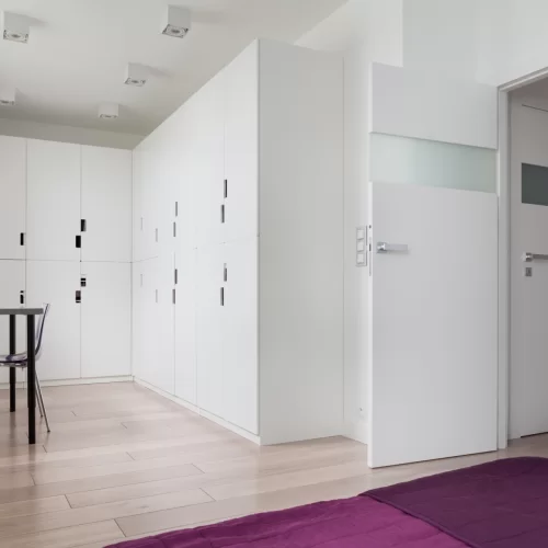 Drzwi rozwierne bezprzylgowe 